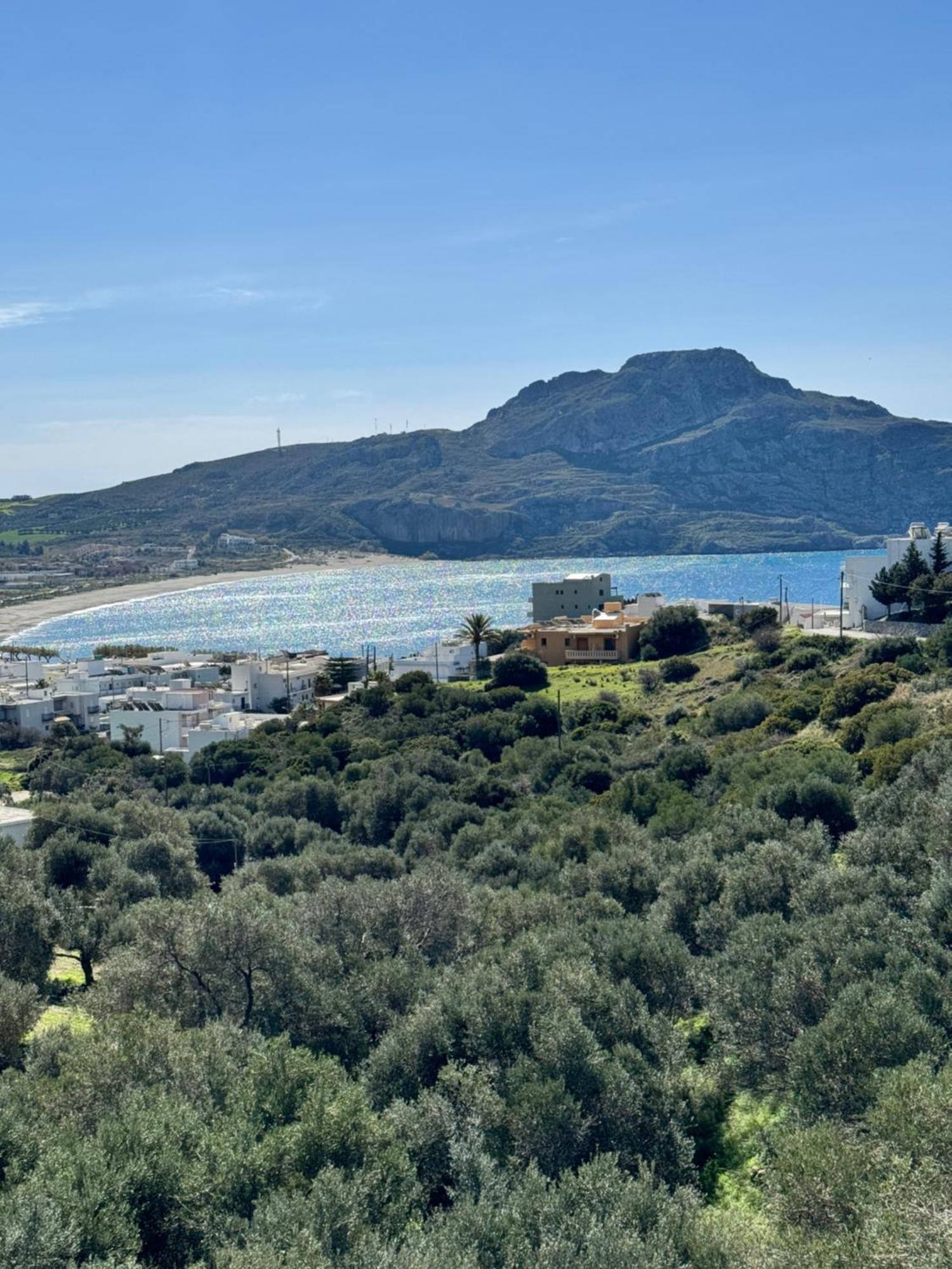 Apartment Olive Grove Plakias