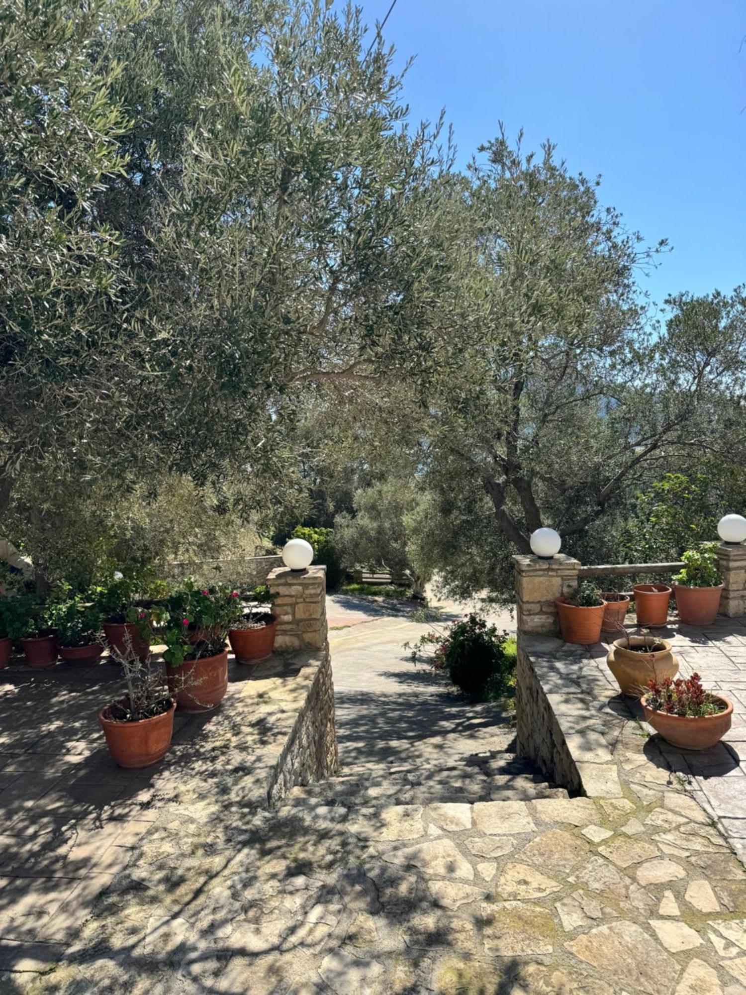 Olive Grove Apartment *